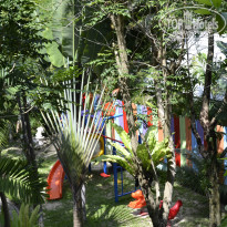 фото из отзыва ID 877096