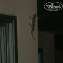 фото из отзыва ID 877096