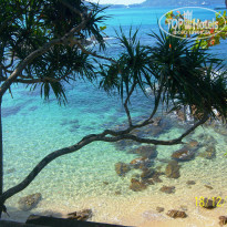 фото из отзыва ID 877162