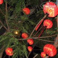 фото из отзыва ID 877169