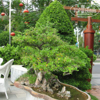 фото из отзыва ID 877169