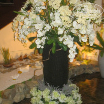 фото из отзыва ID 877169