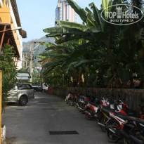 фото из отзыва ID 877402