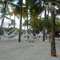 фото из отзыва ID 877415