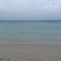 фото из отзыва ID 877451