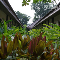 фото из отзыва ID 877492