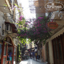 фото из отзыва ID 877497