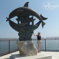 фото из отзыва ID 877497