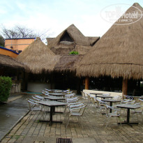 фото из отзыва ID 877522