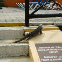 фото из отзыва ID 877522