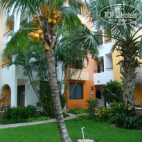 фото из отзыва ID 877522