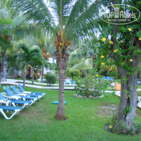 фото из отзыва ID 877522