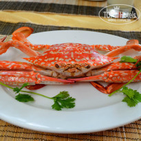 фото из отзыва ID 877559