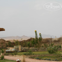 фото из отзыва ID 877605