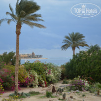 фото из отзыва ID 877654