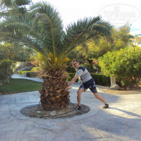 фото из отзыва ID 877683