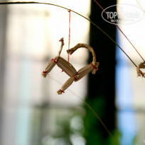 фото из отзыва ID 877704