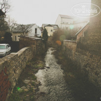 фото из отзыва ID 877704