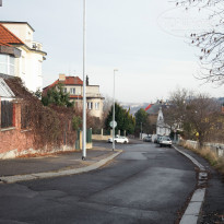 фото из отзыва ID 877704