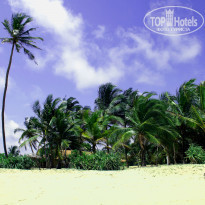 фото из отзыва ID 877295