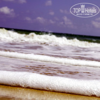 фото из отзыва ID 877295