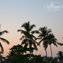 фото из отзыва ID 877725