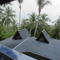 фото из отзыва ID 877734