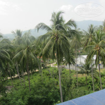 фото из отзыва ID 877734