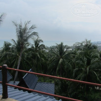 фото из отзыва ID 877734