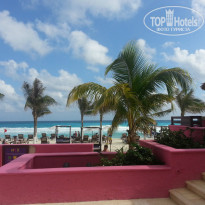 фото из отзыва ID 877799