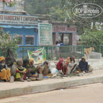 фото из отзыва ID 877893