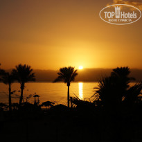 фото из отзыва ID 877910