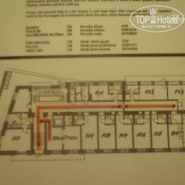 фото из отзыва ID 877965