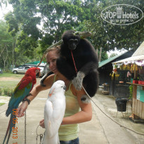 фото из отзыва ID 877933