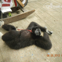 фото из отзыва ID 877933