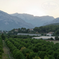 фото из отзыва ID 877482