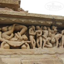 фото из отзыва ID 877893