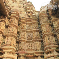 фото из отзыва ID 877893