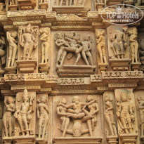 фото из отзыва ID 877893