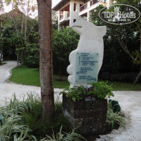 фото из отзыва ID 878164