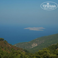 фото из отзыва ID 878285