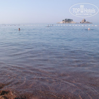 фото из отзыва ID 878542