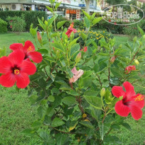 фото из отзыва ID 878579