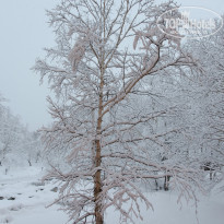 фото из отзыва ID 878730