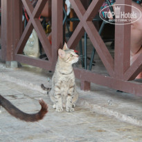 фото из отзыва ID 878743