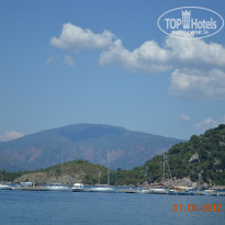 фото из отзыва ID 878758