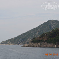 фото из отзыва ID 878758