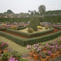 фото из отзыва ID 878994