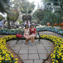 фото из отзыва ID 878994