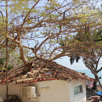 фото из отзыва ID 878733